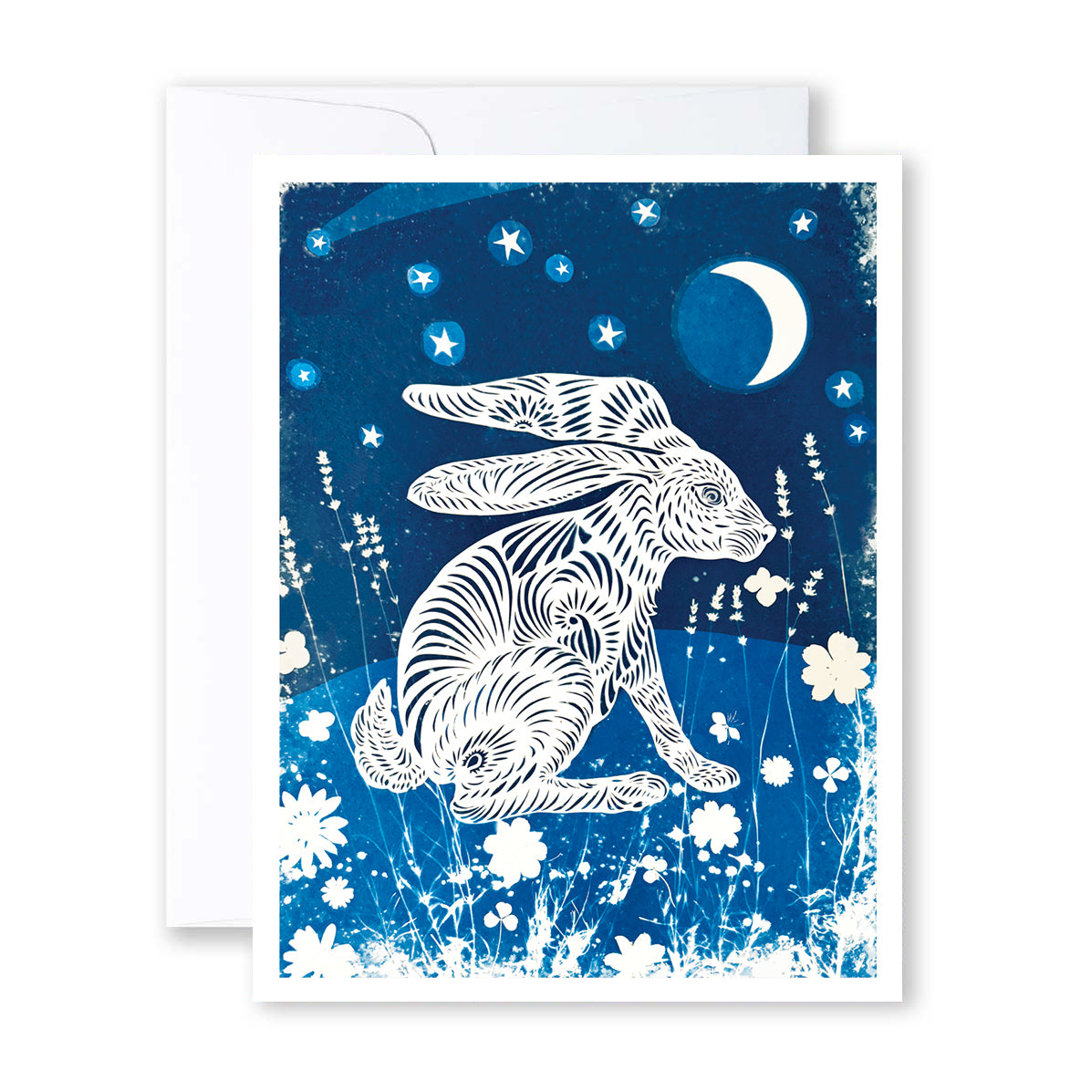 Evening Hare