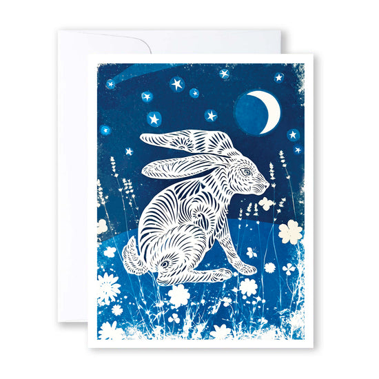 Evening Hare