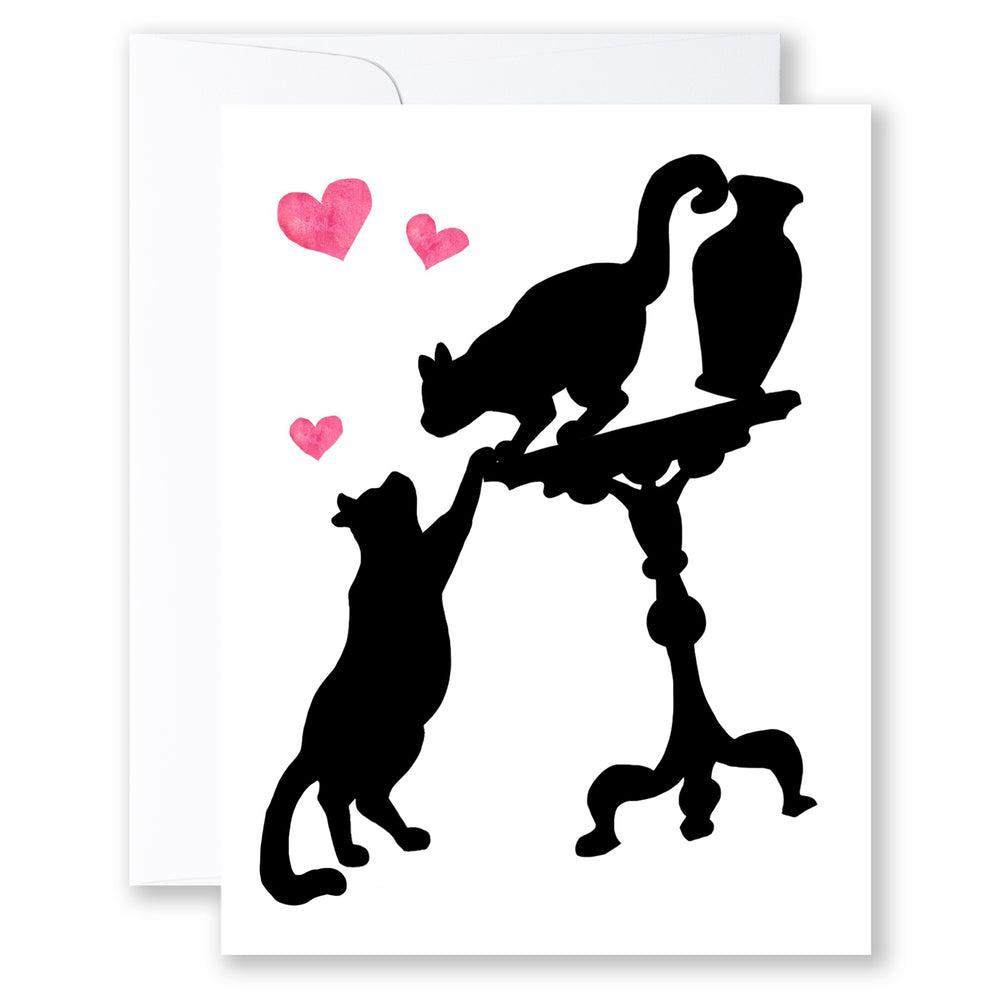 CARD   Curious Cat